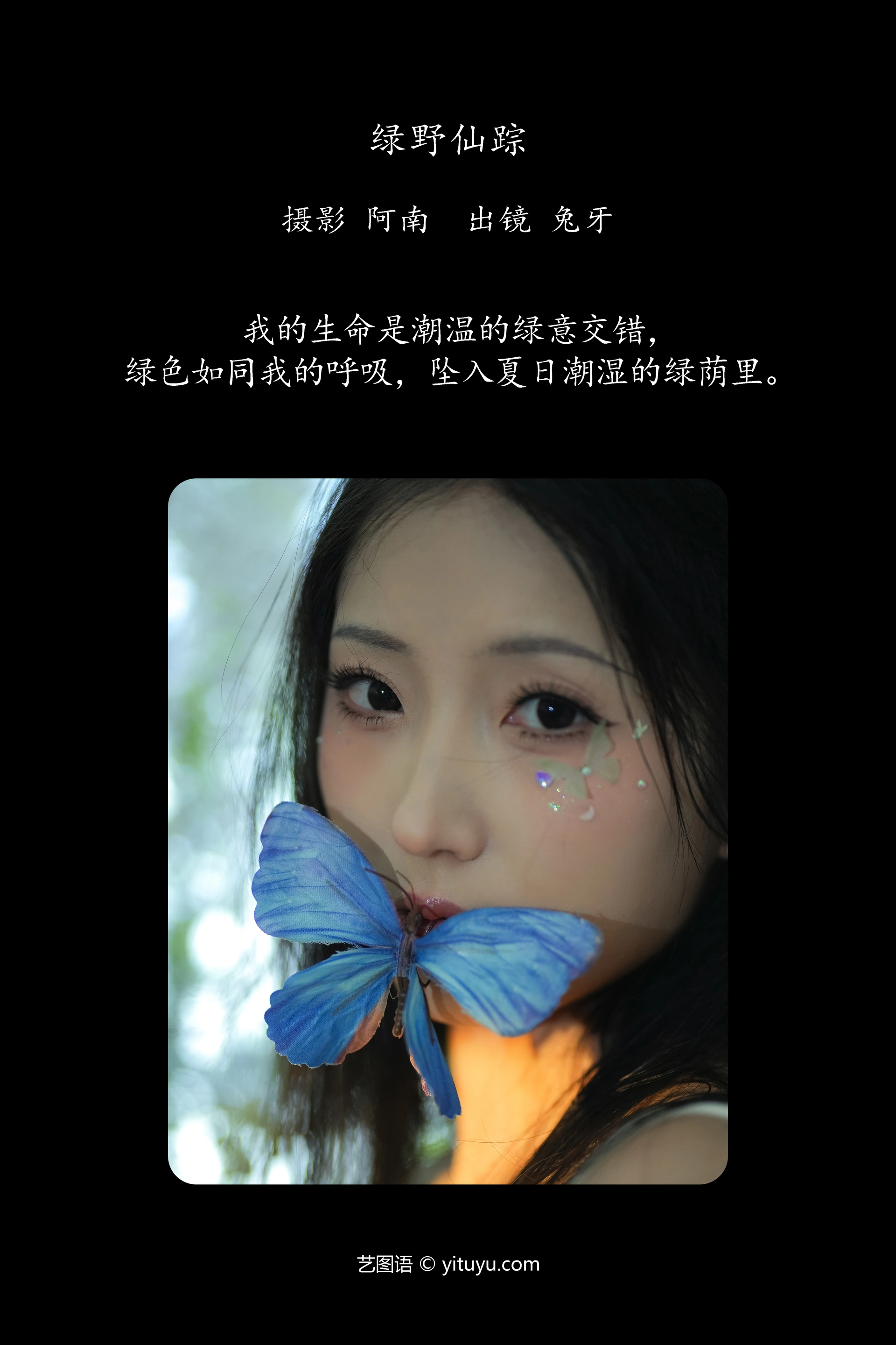 [YITUYU艺图语]2024.12.26 绿野仙踪 兔牙w 0